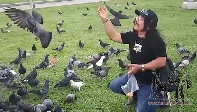 Tranh cát Nguyễn Thế Nhân Biểu diễn tranh cát động "Chim hoà bình" tại Cambodia